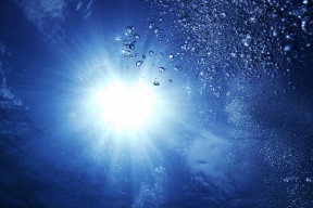 世界篮球青训师资评价体系上线与申请方式，driven篮球青训师
